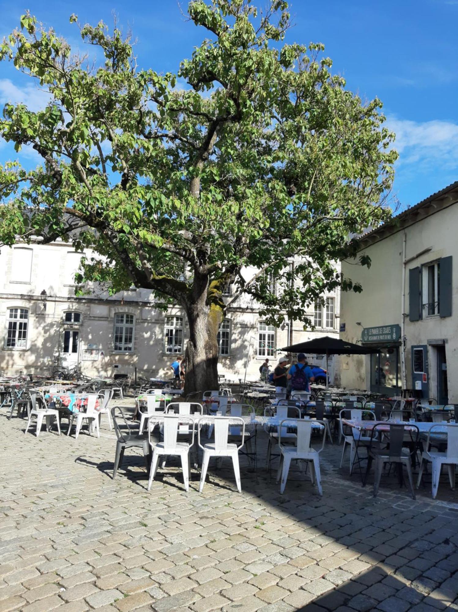 Comtesse Apartment La Rochelle  Bagian luar foto